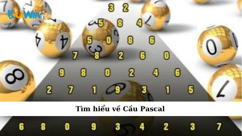 Tìm hiểu về Cầu Pascal